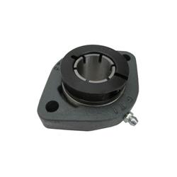 Interroll, H60D25125, Flange Bearing, 2 Bolt